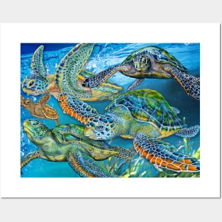 Sea Turtle Collage Posters and Art